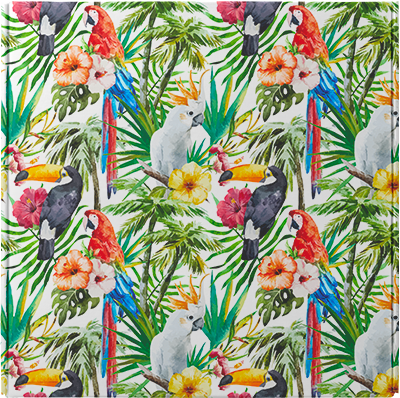 Green custom mailer box with trees and parrots